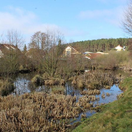 Ferienwohnungen Familie Piel Lutow Exterior foto
